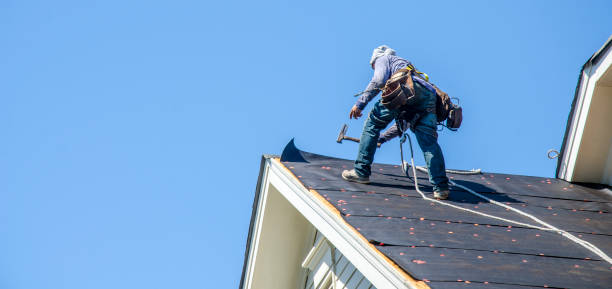 Best Roof Maintenance Services  in Farr West, UT